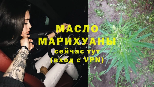 молекула духа Арсеньев