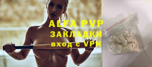 молекула духа Арсеньев