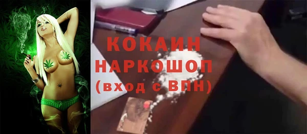 молекула духа Арсеньев