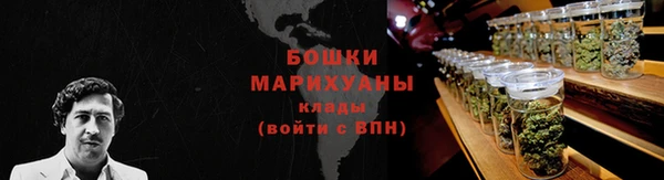 молекула духа Арсеньев