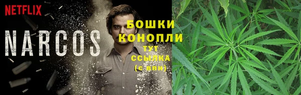 молекула духа Арсеньев