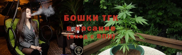 молекула духа Арсеньев