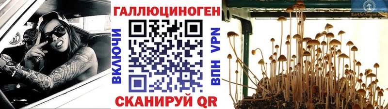 закладка  Новопавловск  Галлюциногенные грибы ЛСД 